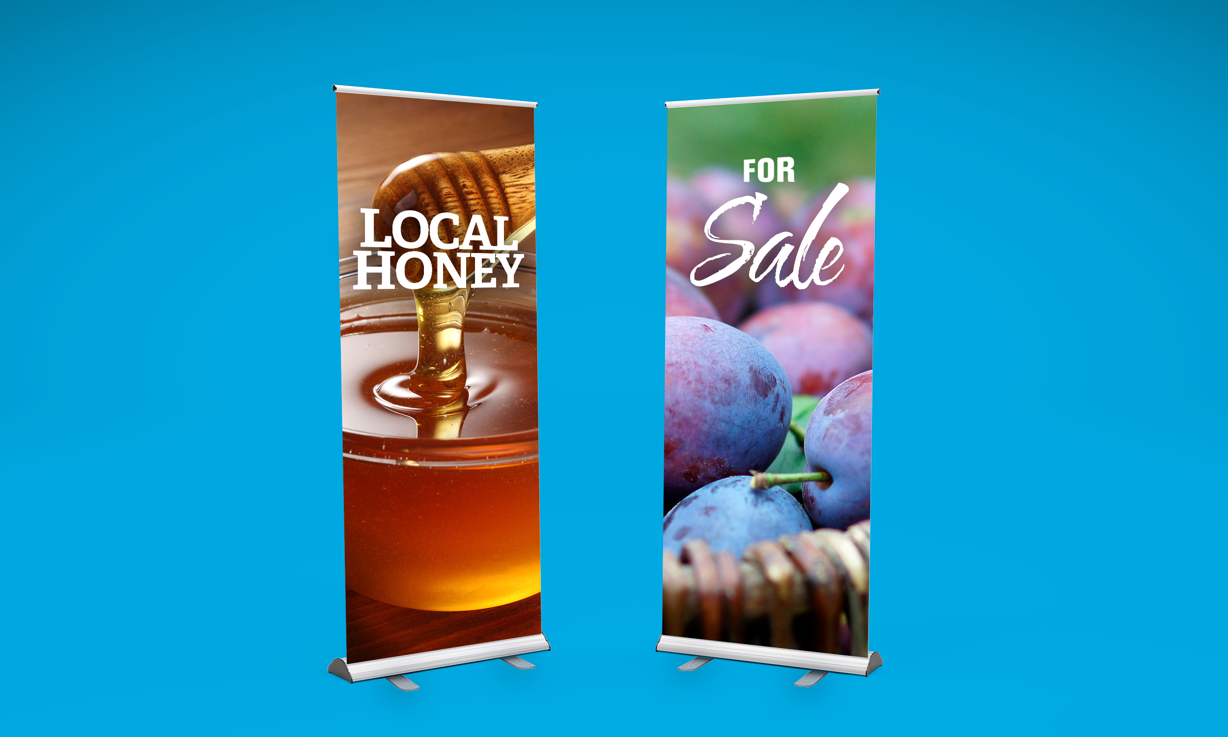 Roll Up Banner